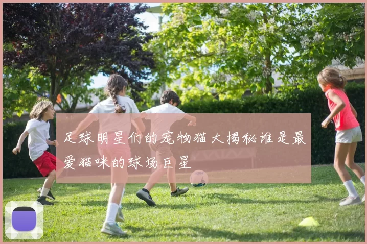足球明星们的宠物猫大揭秘谁是最爱猫咪的球场巨星