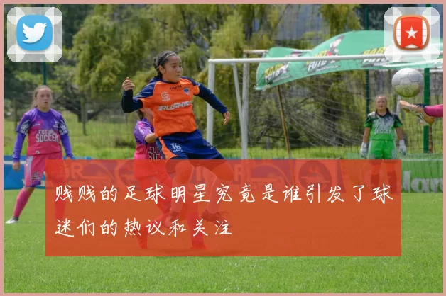 贱贱的足球明星究竟是谁引发了球迷们的热议和关注