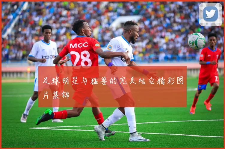 足球明星与猛兽的完美结合精彩图片集锦