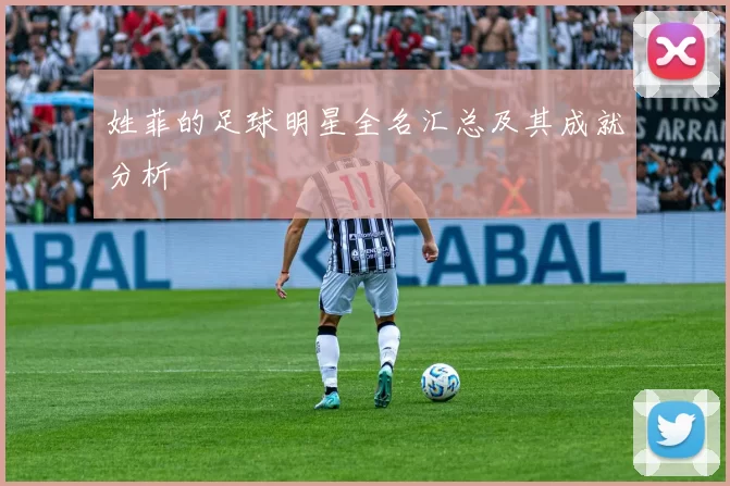 姓菲的足球明星全名汇总及其成就分析