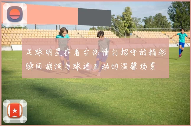 足球明星在看台热情打招呼的精彩瞬间捕捉与球迷互动的温馨场景