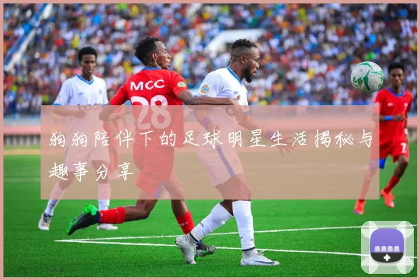 狗狗陪伴下的足球明星生活揭秘与趣事分享