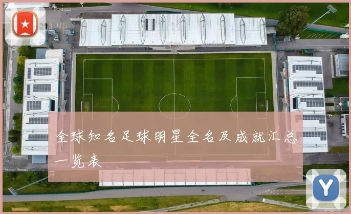 全球知名足球明星全名及成就汇总一览表