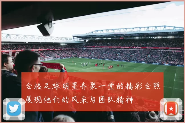 合格足球明星齐聚一堂的精彩合照展现他们的风采与团队精神