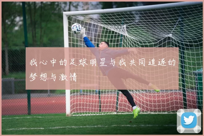 我心中的足球明星与我共同追逐的梦想与激情