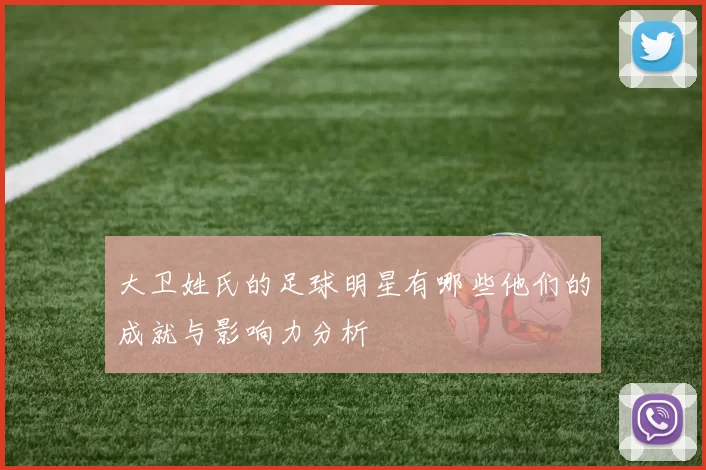 大卫姓氏的足球明星有哪些他们的成就与影响力分析
