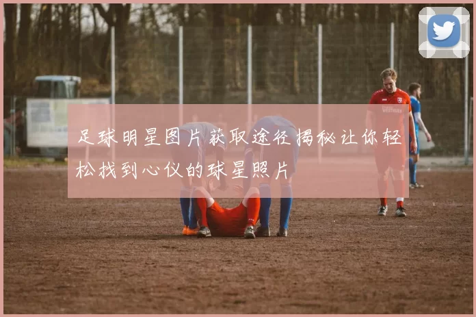 足球明星图片获取途径揭秘让你轻松找到心仪的球星照片