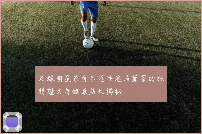 足球明星亲自示范冲泡马黛茶的独特魅力与健康益处揭秘