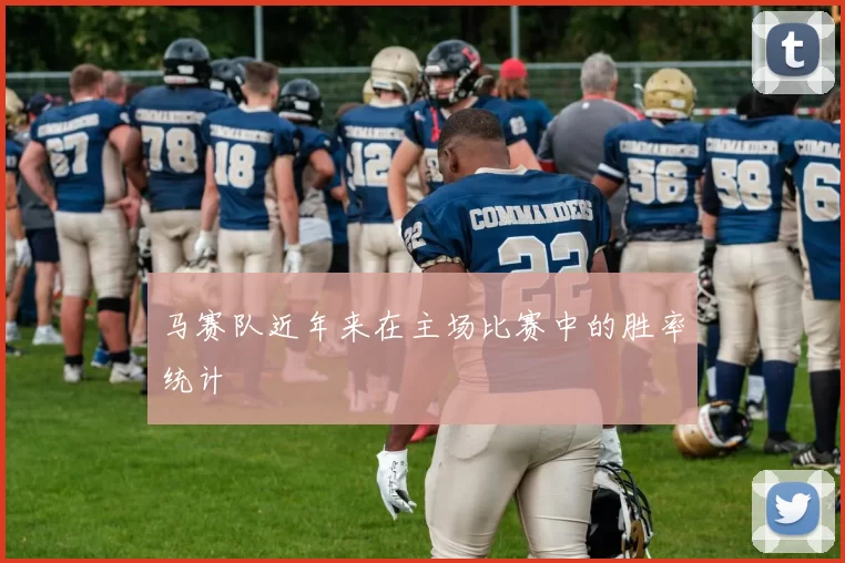 马赛队近年来在主场比赛中的胜率统计