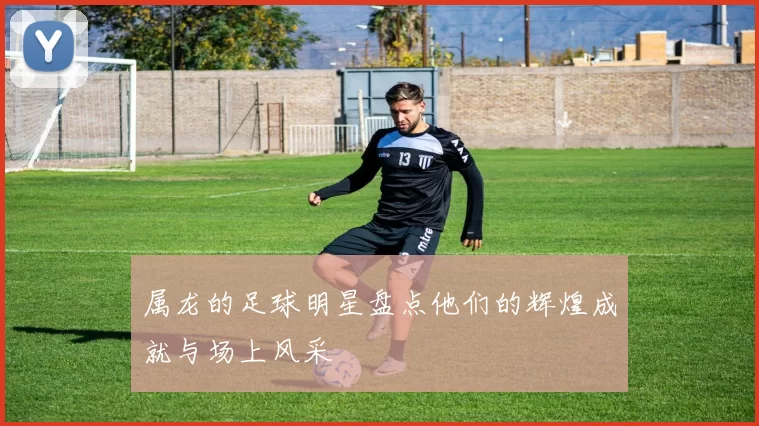 属龙的足球明星盘点他们的辉煌成就与场上风采