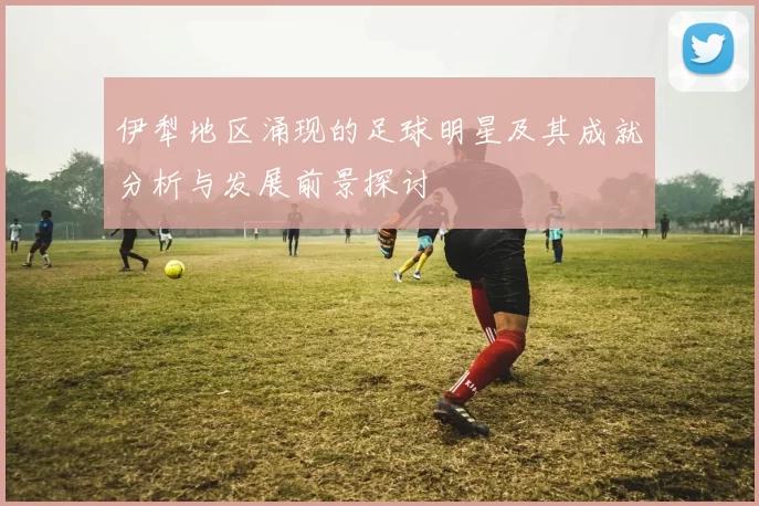 伊犁地区涌现的足球明星及其成就分析与发展前景探讨