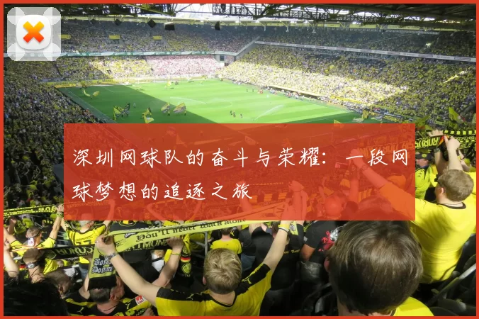 深圳网球队的奋斗与荣耀：一段网球梦想的追逐之旅