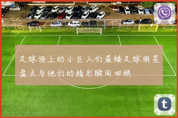 足球场上的小巨人们最矮足球明星盘点与他们的精彩瞬间回顾