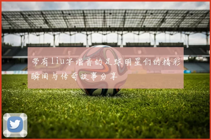 带有liu字谐音的足球明星们的精彩瞬间与传奇故事分享