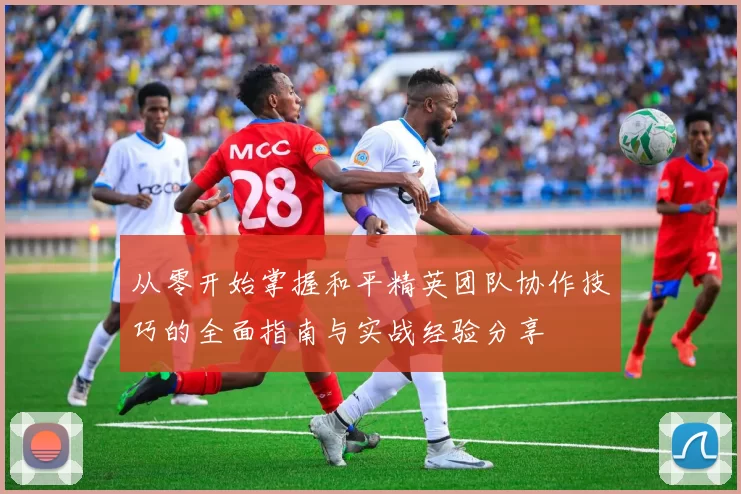 从零开始掌握和平精英团队协作技巧的全面指南与实战经验分享