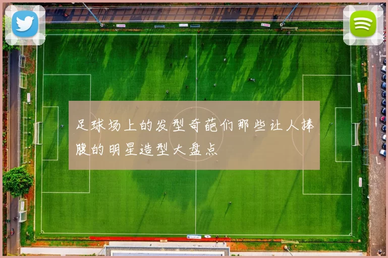 足球场上的发型奇葩们那些让人捧腹的明星造型大盘点
