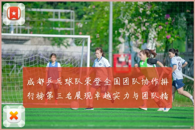 成都乒乓球队荣登全国团队协作排行榜第三名展现卓越实力与团队精神