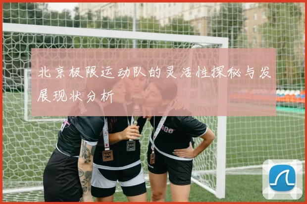 北京极限运动队的灵活性探秘与发展现状分析