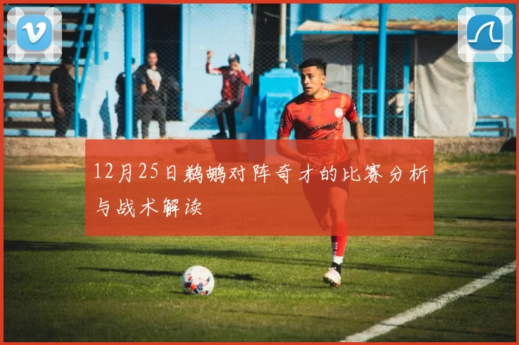 12月25日鹈鹕对阵奇才的比赛分析与战术解读