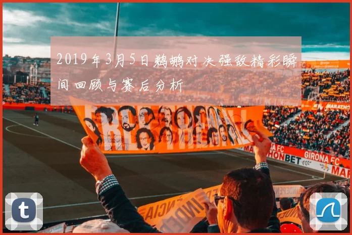 2019年3月5日鹈鹕对决强敌精彩瞬间回顾与赛后分析