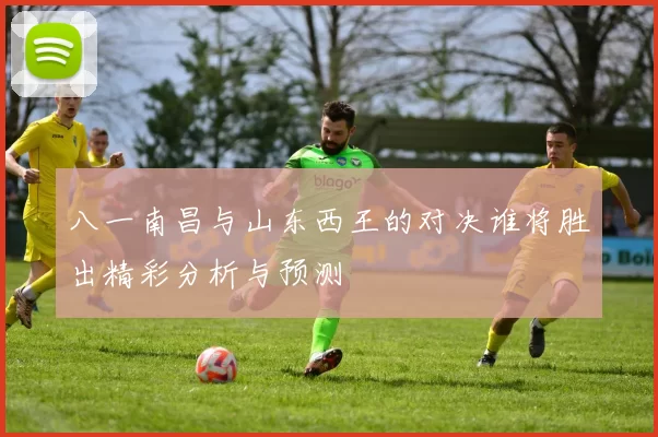 八一南昌与山东西王的对决谁将胜出精彩分析与预测