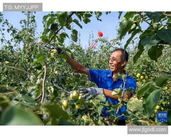 果园采摘之旅:畅享自然馈赠与丰收的快乐体验 果园采摘之旅:畅享自然馈赠与丰收的快乐体验