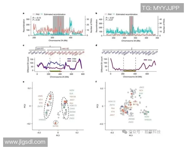武汉飞盘队灵活性分析：数据揭示团队战术与运动员表现的深度关系